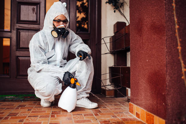Attic and Crawl Space Rodent Treatment in Montclair State University