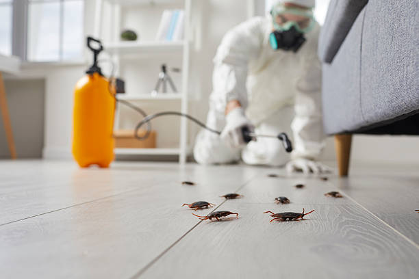 Commercial Rodent Management in Montclair State University